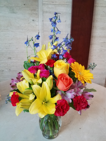 Rainbow of Blooms 