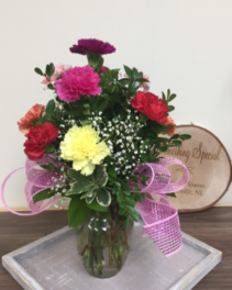 Dozen Colored Carnations Fresh Flowers