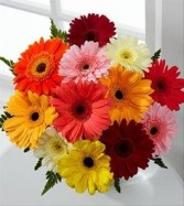 Rainbow Of Love Valentines