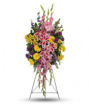 Rainbow Of Remembrance Spray 