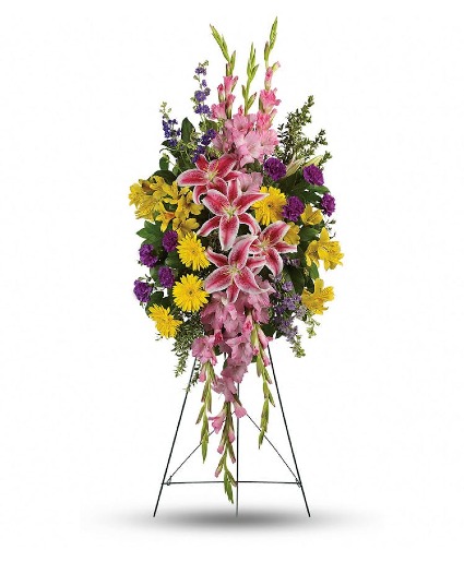 Rainbow Of Remembrance Spray 