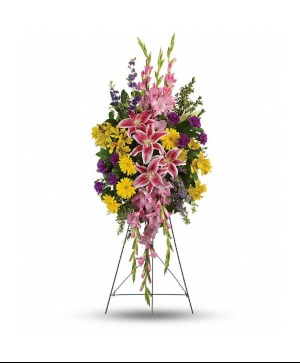 Rainbow Of Remembrance Spray 