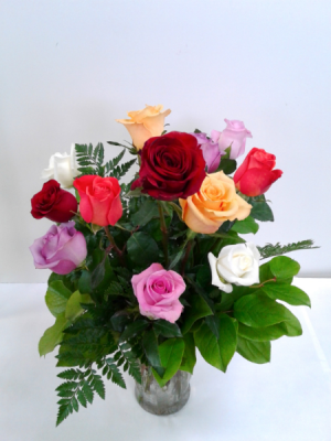 Rainbow of Roses Roses