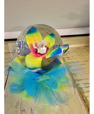 Rainbow Orchid Globe Lasting orchid