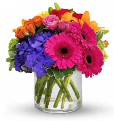 Rainbow Radiance  in Whittier, CA | Rosemantico Flowers