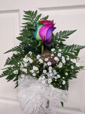 Rainbow Rose  