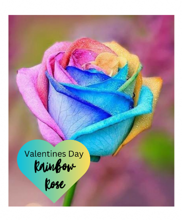 Rainbow Rose  in Osoyoos, BC | POLKA DOT DOOR