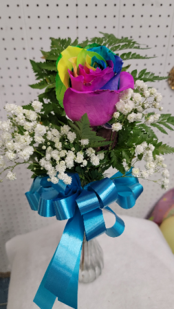 Rainbow rose Flower