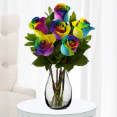 Rainbow Roses Half Dozen