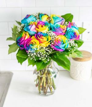 Rainbow Roses Roses 