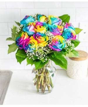 Rainbow Roses  Roses 