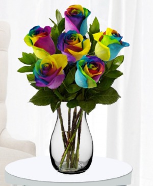 Rainbow Roses  roses 
