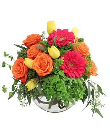 Rainbow Soiree Floral Arrangement in Darien, CT | DARIEN FLOWERS