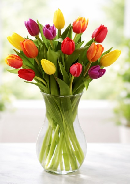 Rainbow Tulip Vase Arrangement  