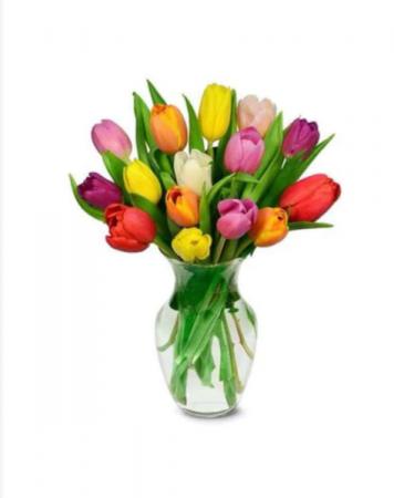 Rainbow Tulips  Tulip Arrangement