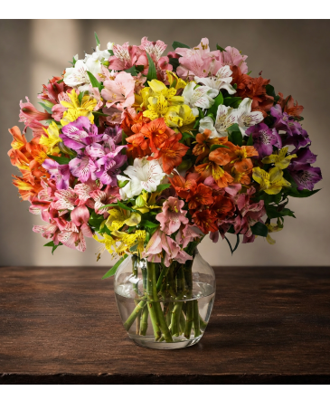 Rainbow Wave PERUVIAN LILIES in Weatherford, OK | The Flower Box Florist