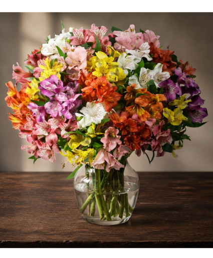 Rainbow Wave PERUVIAN LILIES