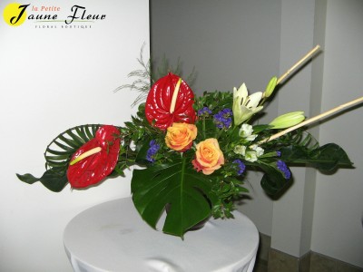 Rainforest Antheriums require a weeks notice to order