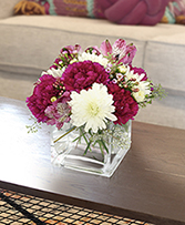 Raspberry Swirl Lifestyle Arrangement