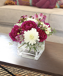 Raspberry Swirl Lifestyle Arrangement