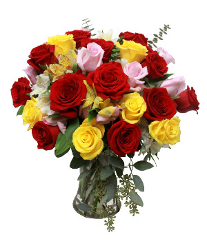 Ravishing Love 