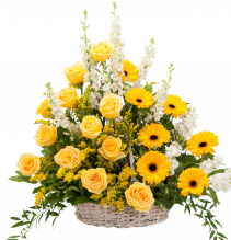 Ray of Sunshine Basket Tribute 