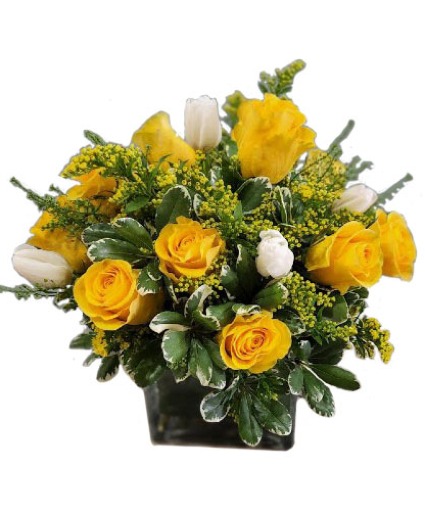 Rays of Sunshine Cut flowers