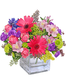 Razzle Dazzle Bouquet of Flowers