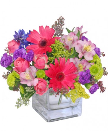 Razzle Dazzle Bouquet of Flowers in Groveland, FL | KARA'S FLOWERS