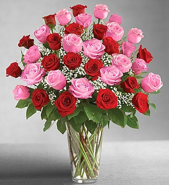 RAZZLE DAZZLE Vase Arrangement