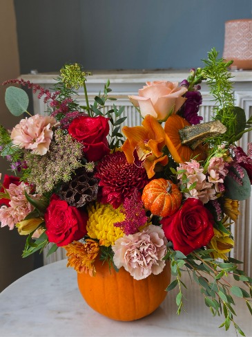 Real Pumpkin  Fall Daily Design in Frederick, MD | Maryland Florals