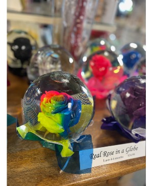 Real Rose in a Globe  Flower