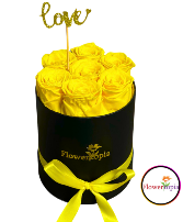 7 PRESERVED YELLOW ROSES IN A ROUND BOX Preserved Rose Box 