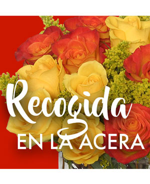 Recogida En la Acera Ramo de Elección de Diseñadores