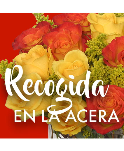 Recogida En la Acera Ramo de Elección de Diseñadores