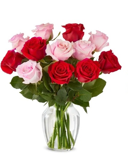 Red and Pink Dozen Roses  
