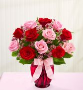 Red and Pink Roses One Dozen