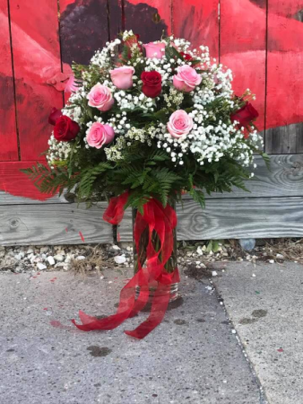 Red and Pink Roses 