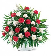 RED AND WHITE CARNATIONS    (S) ARRANGED