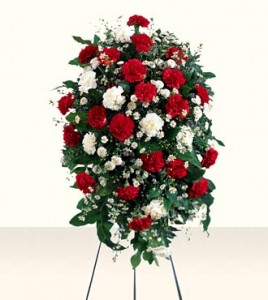RED AND WHITE CARNATIONS    (S) ARRANGED with seasonal filler (STANDING SPRAY)