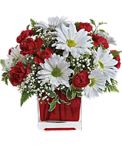 Red and White Delight  