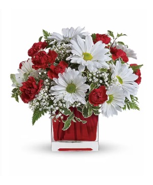 Red And White Delight 