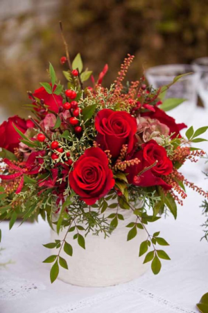 red and white delight holiday 