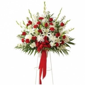 Red And White On Stand 