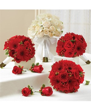 Red And White Personal Package 