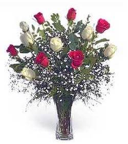 Red and White Rose Bouquet 6 Red & 6 White Roses arranged