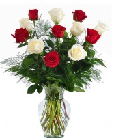 Red and White Roses 