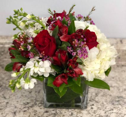 Red and White  