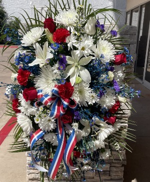 Red, Blue and White Spray  Patriotic color spray