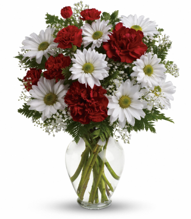 Red Caranations and Daisys 